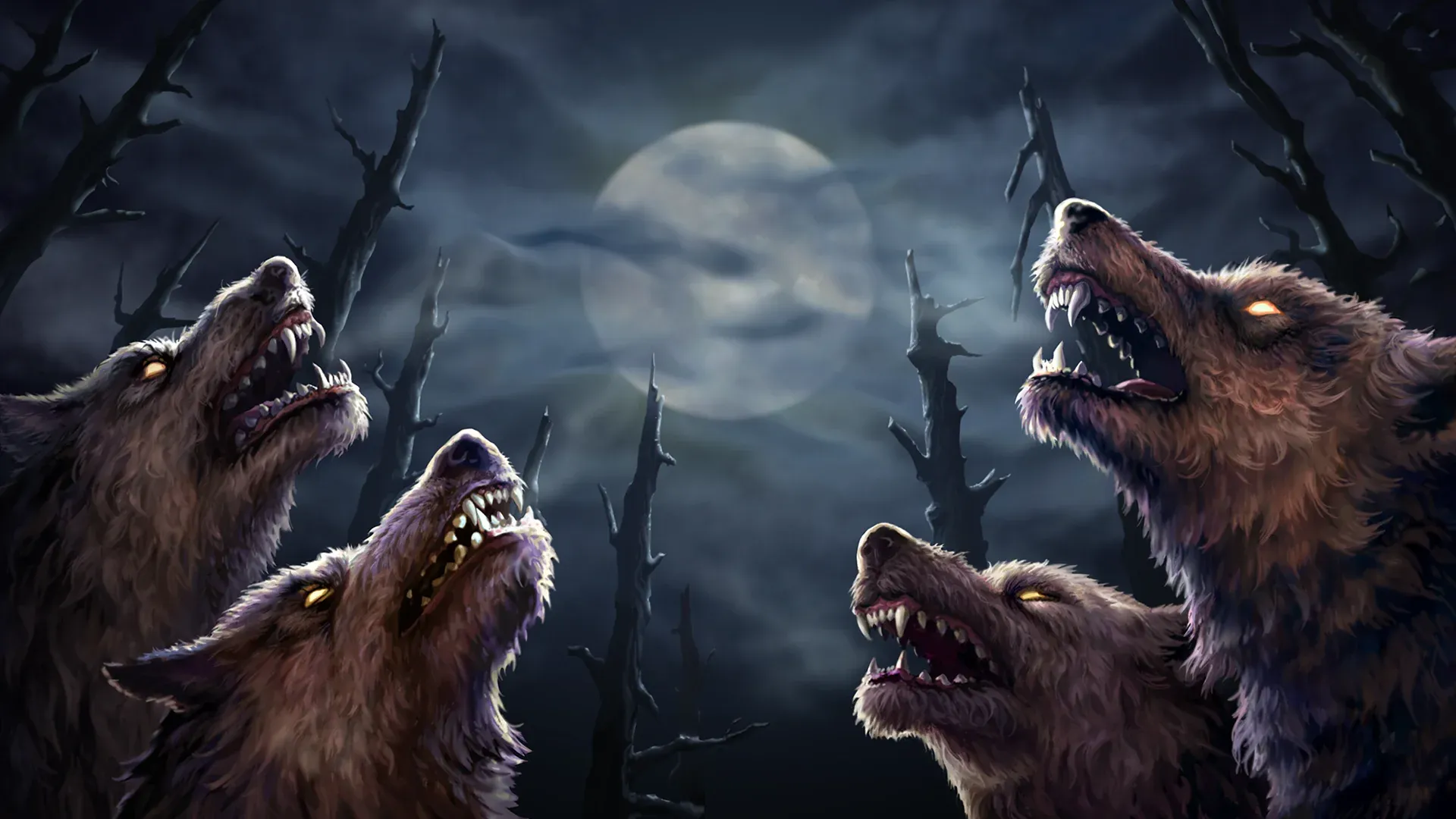 background-image
