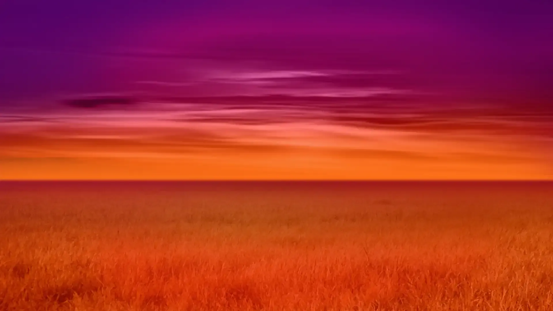 background-image