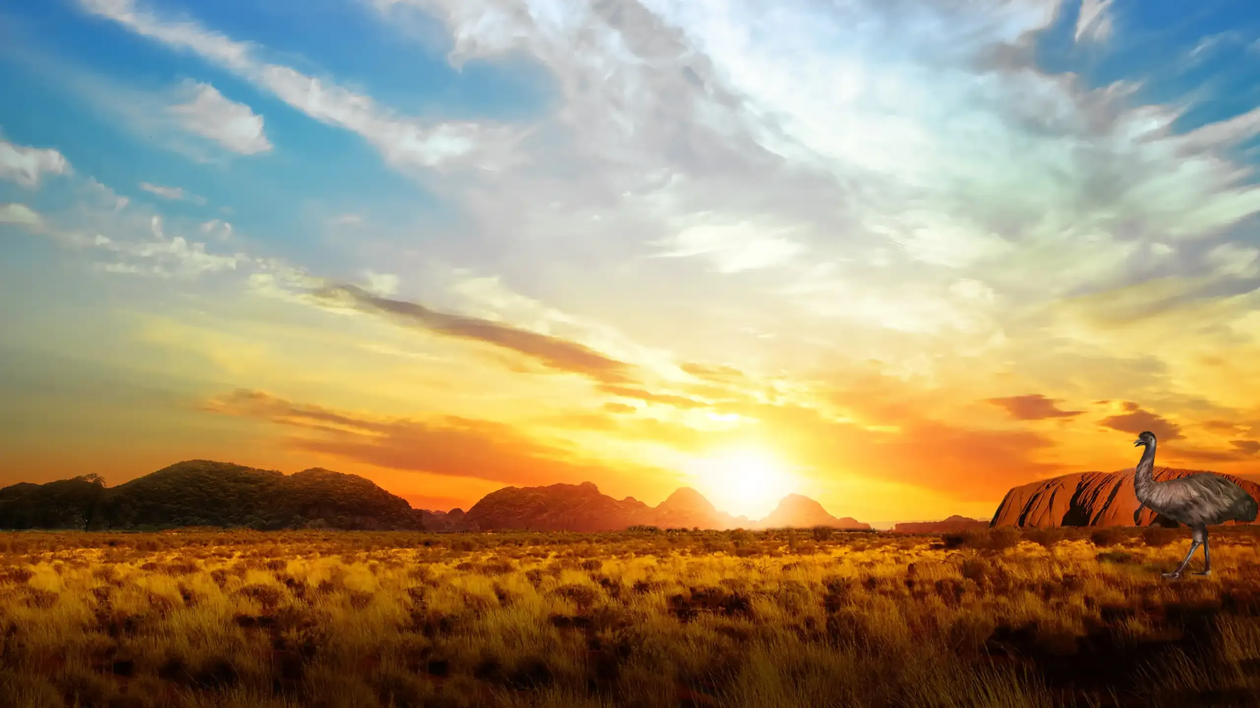 background-image