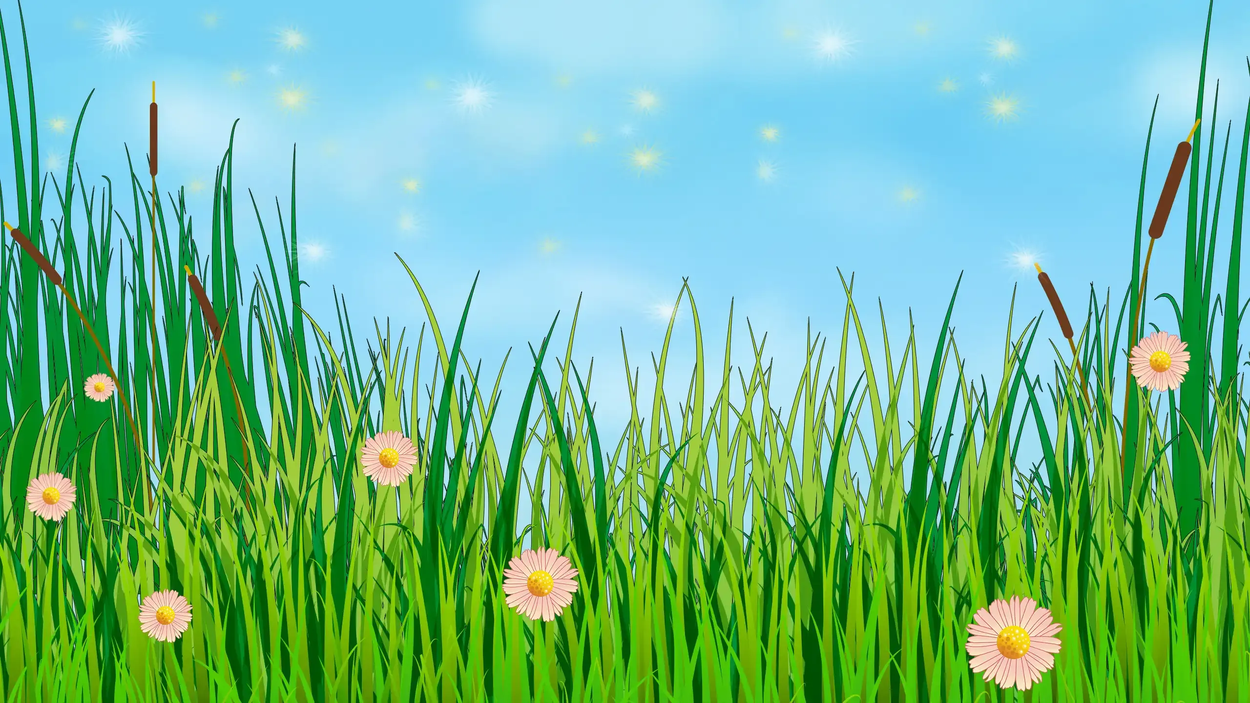 background-image